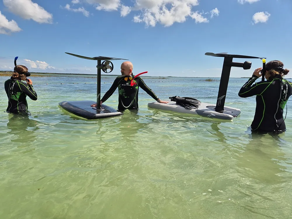 moza_20251119_120348-min